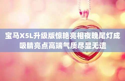 宝马X5L升级版惊艳亮相夜晚尾灯成吸睛亮点高端气质尽显无遗
