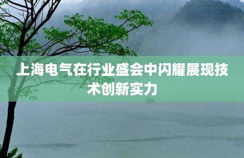 上海电气在行业盛会中闪耀展现技术创新实力