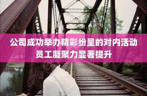 公司成功举办精彩纷呈的对内活动员工凝聚力显著提升