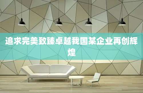 追求完美致臻卓越我国某企业再创辉煌