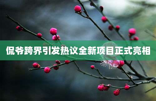 侃爷跨界引发热议全新项目正式亮相