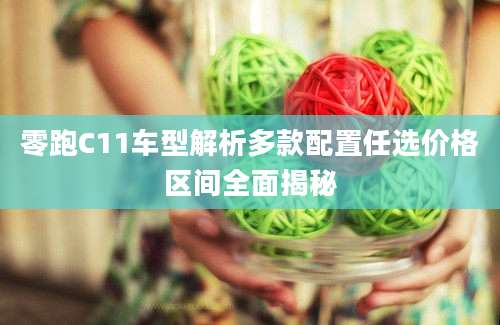 零跑C11车型解析多款配置任选价格区间全面揭秘
