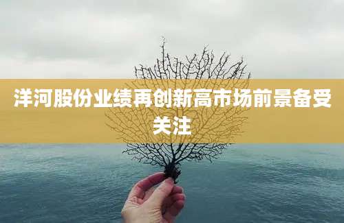 洋河股份业绩再创新高市场前景备受关注
