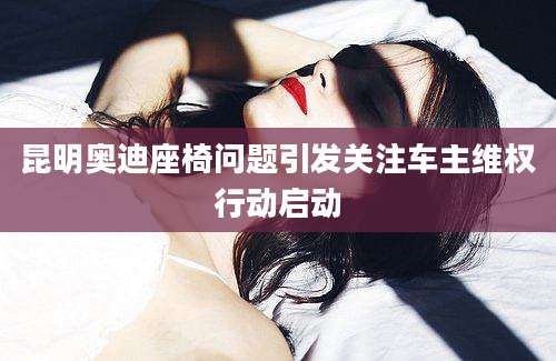 昆明奥迪座椅问题引发关注车主维权行动启动