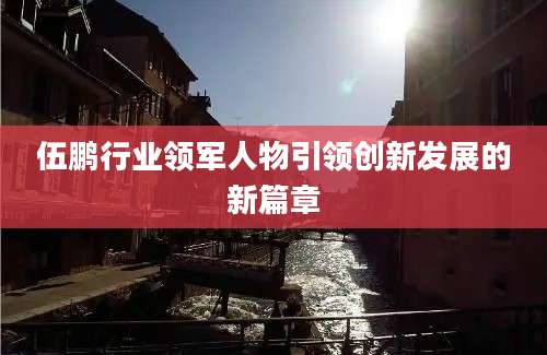 伍鹏行业领军人物引领创新发展的新篇章
