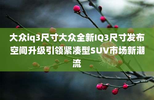 大众iq3尺寸大众全新IQ3尺寸发布空间升级引领紧凑型SUV市场新潮流