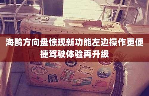 海鸥方向盘惊现新功能左边操作更便捷驾驶体验再升级