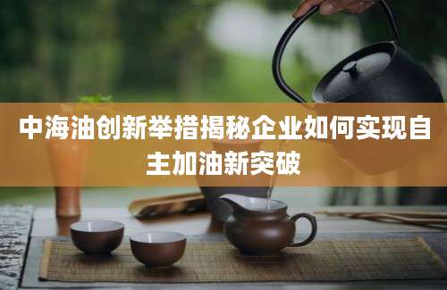 中海油创新举措揭秘企业如何实现自主加油新突破