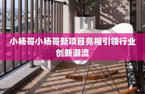 小杨哥小杨哥新项目亮相引领行业创新潮流