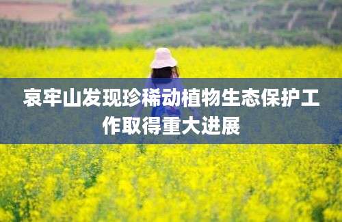 哀牢山发现珍稀动植物生态保护工作取得重大进展