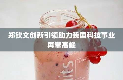 郑钦文创新引领助力我国科技事业再攀高峰