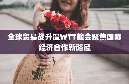 全球贸易战升温WTT峰会聚焦国际经济合作新路径
