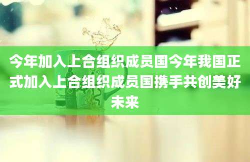 今年加入上合组织成员国今年我国正式加入上合组织成员国携手共创美好未来