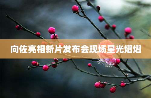 向佐亮相新片发布会现场星光熠熠