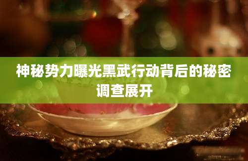 神秘势力曝光黑武行动背后的秘密调查展开