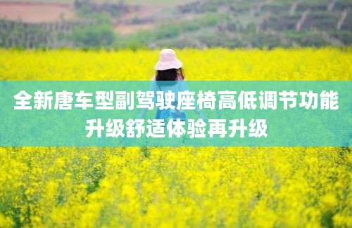 全新唐车型副驾驶座椅高低调节功能升级舒适体验再升级