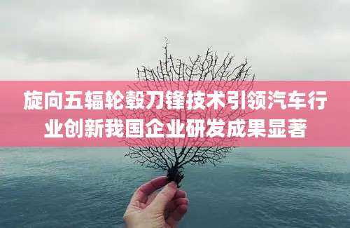 旋向五辐轮毂刀锋技术引领汽车行业创新我国企业研发成果显著