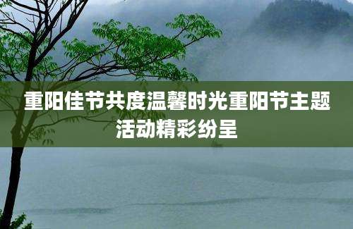 重阳佳节共度温馨时光重阳节主题活动精彩纷呈