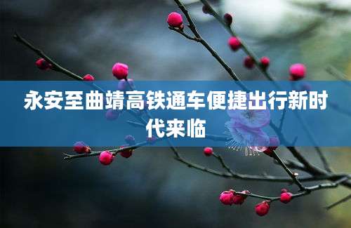 永安至曲靖高铁通车便捷出行新时代来临