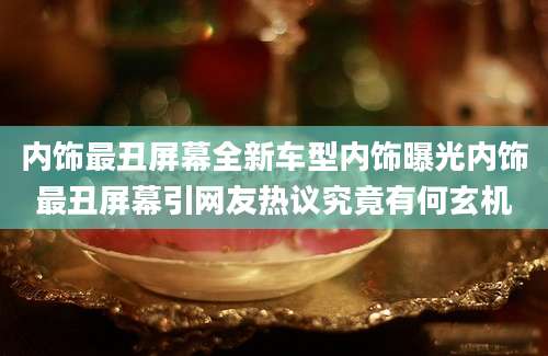 内饰最丑屏幕全新车型内饰曝光内饰最丑屏幕引网友热议究竟有何玄机