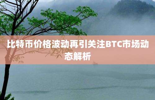 比特币价格波动再引关注BTC市场动态解析