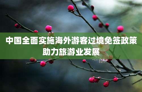 中国全面实施海外游客过境免签政策助力旅游业发展