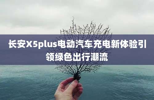 长安X5plus电动汽车充电新体验引领绿色出行潮流