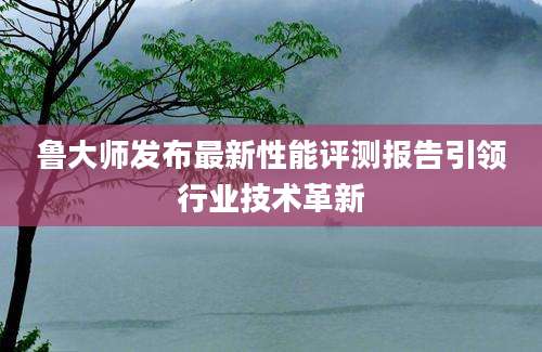 鲁大师发布最新性能评测报告引领行业技术革新