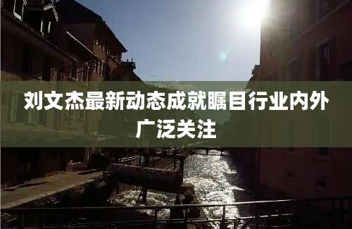 刘文杰最新动态成就瞩目行业内外广泛关注