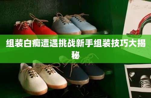 组装白痴遭遇挑战新手组装技巧大揭秘