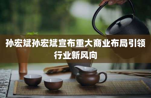 孙宏斌孙宏斌宣布重大商业布局引领行业新风向