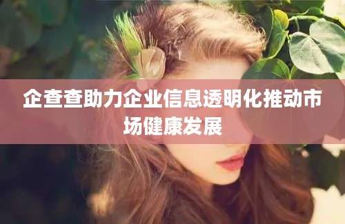 企查查助力企业信息透明化推动市场健康发展