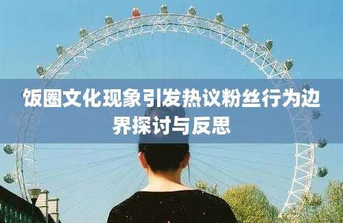 饭圈文化现象引发热议粉丝行为边界探讨与反思