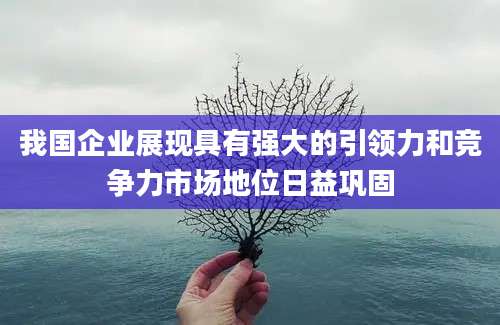 我国企业展现具有强大的引领力和竞争力市场地位日益巩固