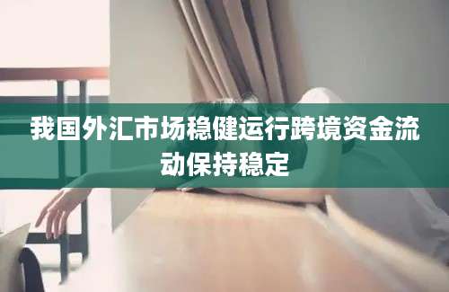 我国外汇市场稳健运行跨境资金流动保持稳定