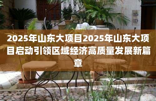 2025年山东大项目2025年山东大项目启动引领区域经济高质量发展新篇章