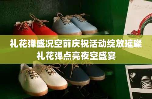 礼花弹盛况空前庆祝活动绽放璀璨礼花弹点亮夜空盛宴