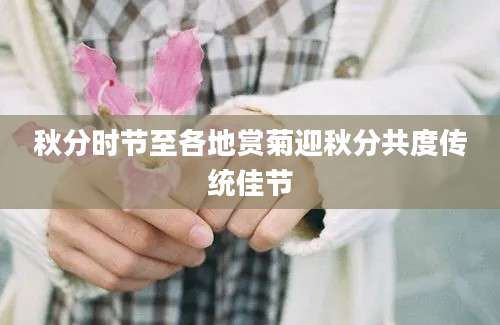 秋分时节至各地赏菊迎秋分共度传统佳节