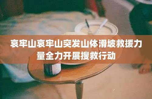 哀牢山哀牢山突发山体滑坡救援力量全力开展搜救行动