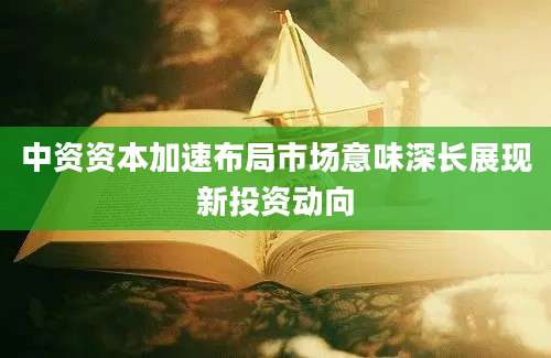 中资资本加速布局市场意味深长展现新投资动向