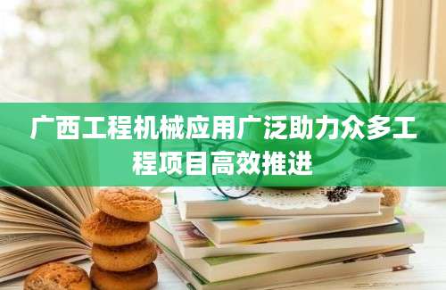 广西工程机械应用广泛助力众多工程项目高效推进