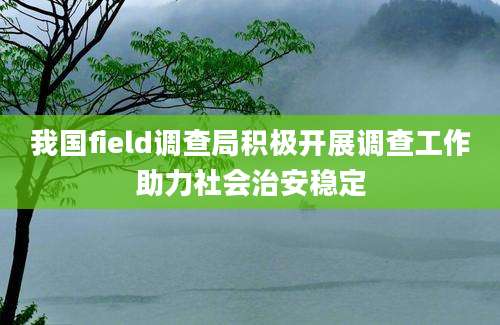 我国field调查局积极开展调查工作助力社会治安稳定