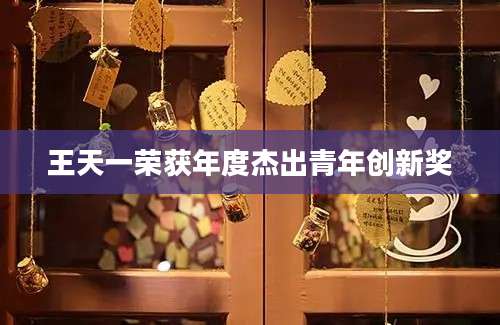 王天一荣获年度杰出青年创新奖