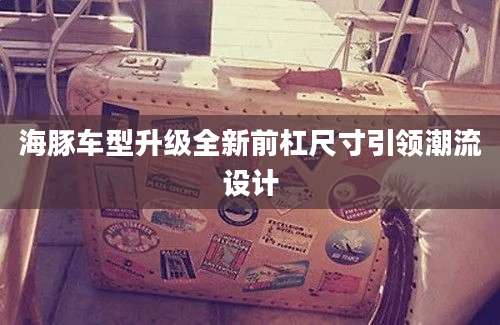 海豚车型升级全新前杠尺寸引领潮流设计