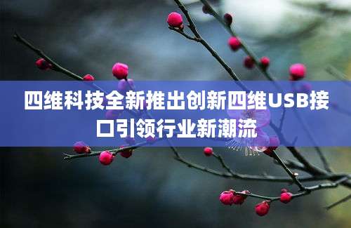 四维科技全新推出创新四维USB接口引领行业新潮流