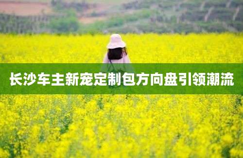 长沙车主新宠定制包方向盘引领潮流