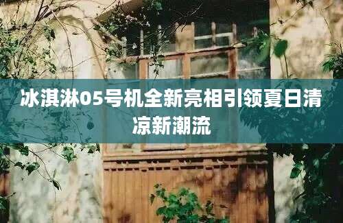 冰淇淋05号机全新亮相引领夏日清凉新潮流