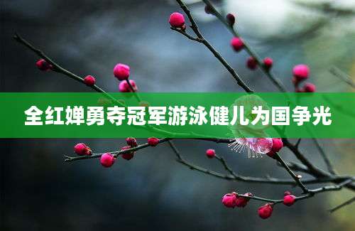 全红婵勇夺冠军游泳健儿为国争光