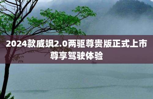 2024款威飒2.0两驱尊贵版正式上市尊享驾驶体验