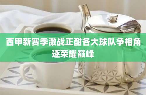 西甲新赛季激战正酣各大球队争相角逐荣耀巅峰
